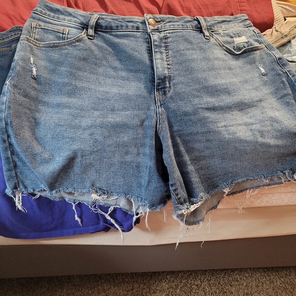 Ava & Viv 20w Jean shorts